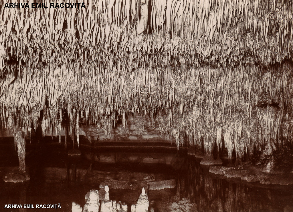 Cuevas del Drach: Coloane stalagmitice în Domul Moragues